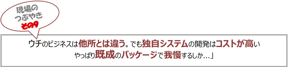 現場のつぶやき⑨「ウチのビジネスは他所とは違う。でも独自システムの開発はコストが高い　やっぱり既成のパッケージで我慢するしか...」
